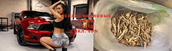молекула духа Армянск
