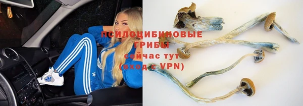 spice Арсеньев