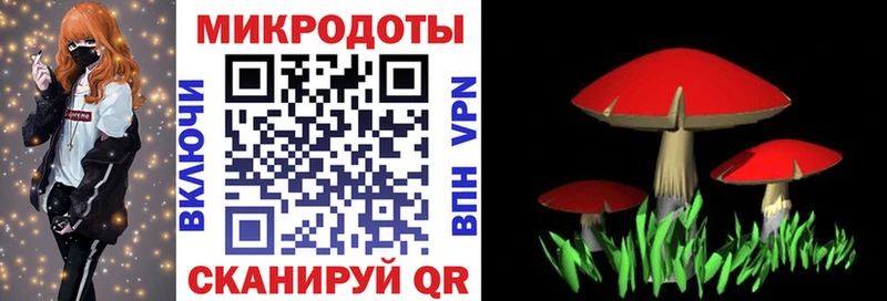 Псилоцибиновые грибы Magic Shrooms Фатеж